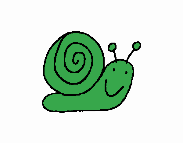 Caracol 4