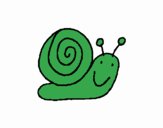 Caracol 4