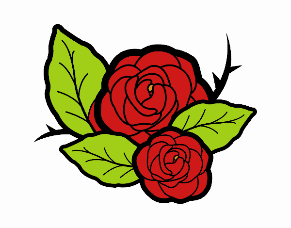 Dos rosas