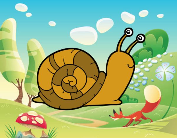 El caracol