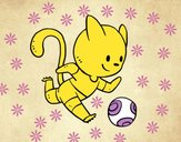 Gato jugando a fútbol