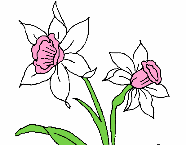 Dibujo de Orquídea pintado por en  el día 27-10-22 a las  00:35:09. Imprime, pinta o colorea tus propios dibujos!