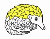 Pangolin