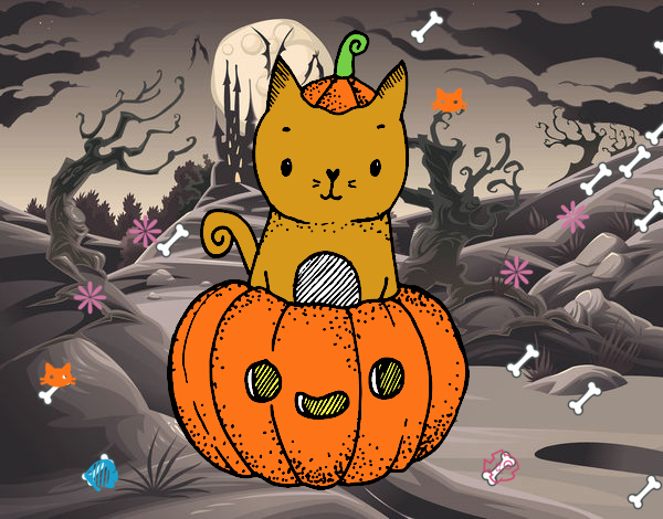 Un gatito de Halloween