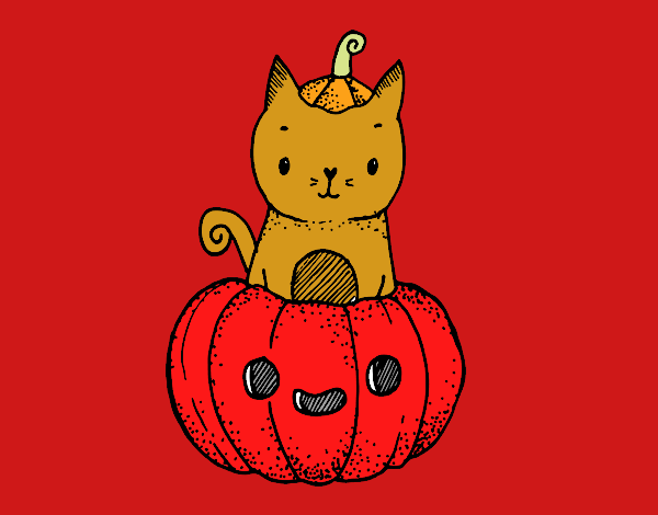 Un gatito de Halloween