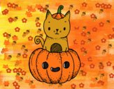 Un gatito de Halloween