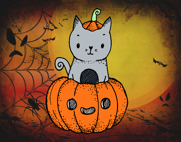 Un gatito de Halloween