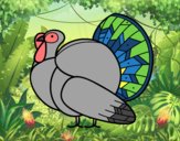 Un pavo