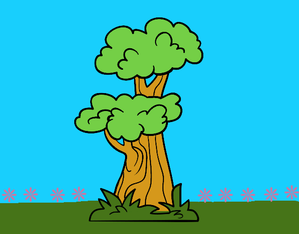 Árbol japonés