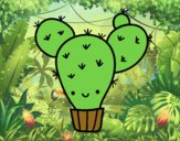 Cactus nopal