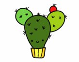 Cactus nopal