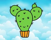 Cactus nopal