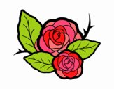 Dos rosas