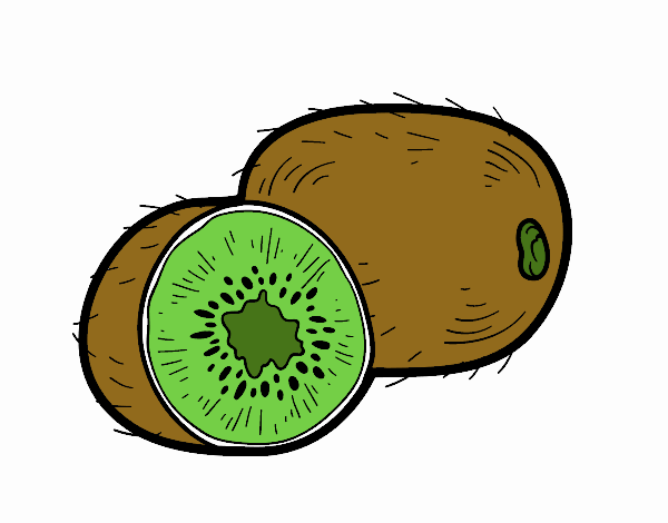 El kiwi