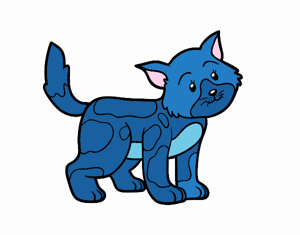 Amor El Gato Como La Mascota De Oso Hormiguero Azul Kawaii Danita Las Mascotas De Kawaii 