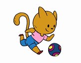 Gato jugando a fútbol