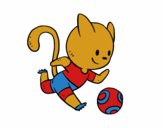 Gato jugando a fútbol