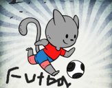 Gato jugando a fútbol