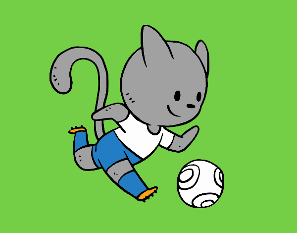 Gato jugando a fútbol