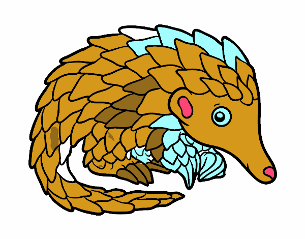 Pangolin