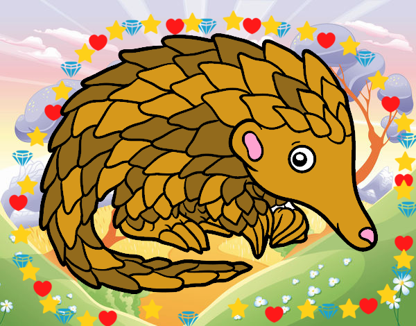 Pangolin