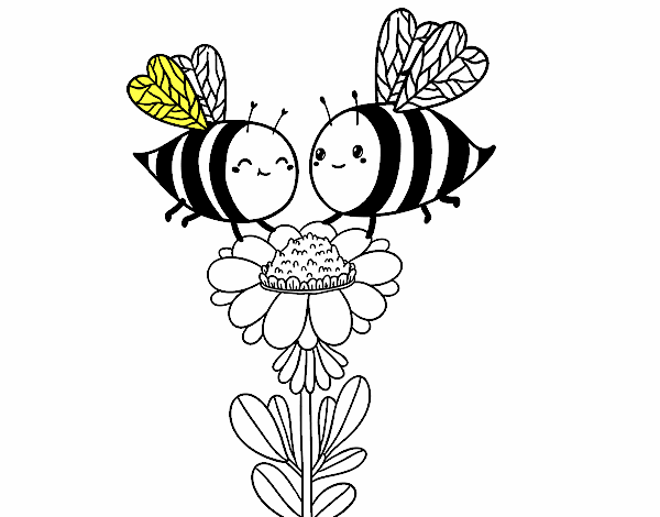 Pareja de abejas