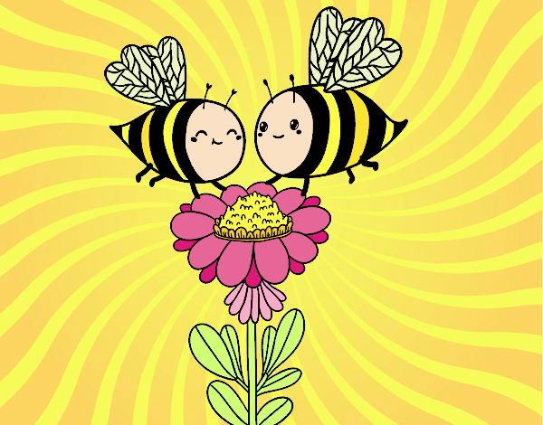 Pareja de abejas