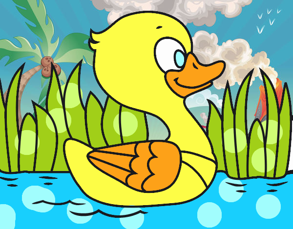 Patito de río