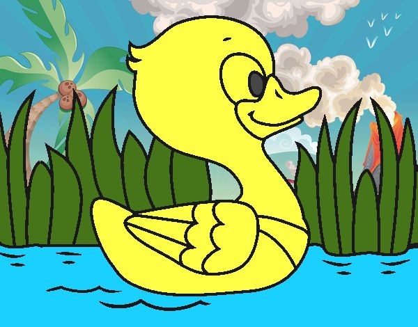 Patito de río