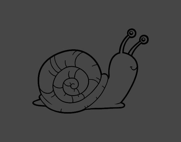 Un caracol