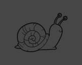 Un caracol