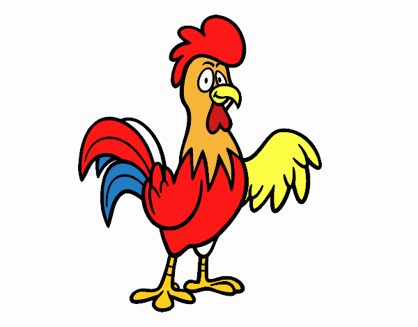 Un gallo de corral