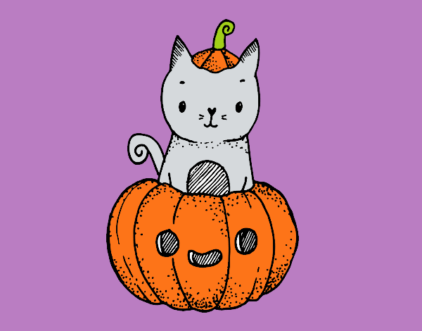 Un gatito de Halloween