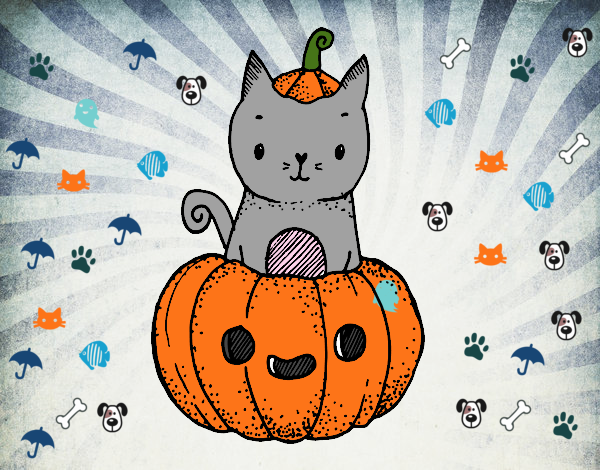 Un gatito de Halloween