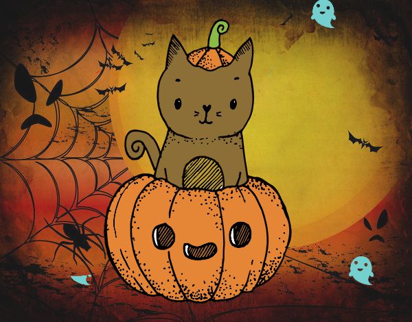 Un gatito de Halloween