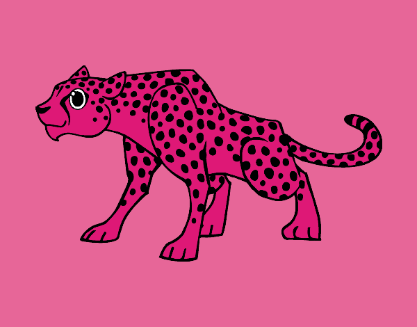 Un leopardo