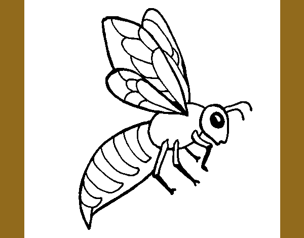 Abeja 2