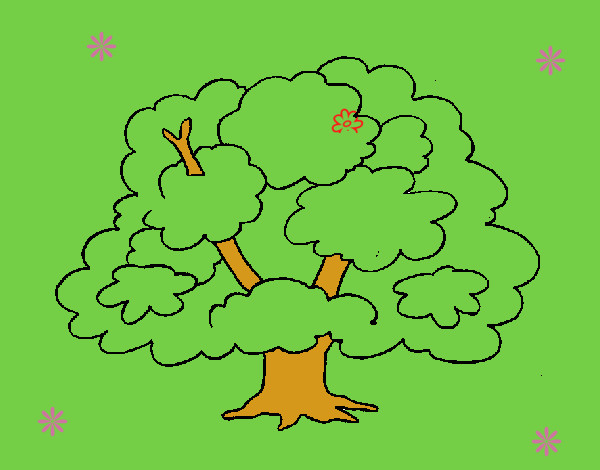 Árbol