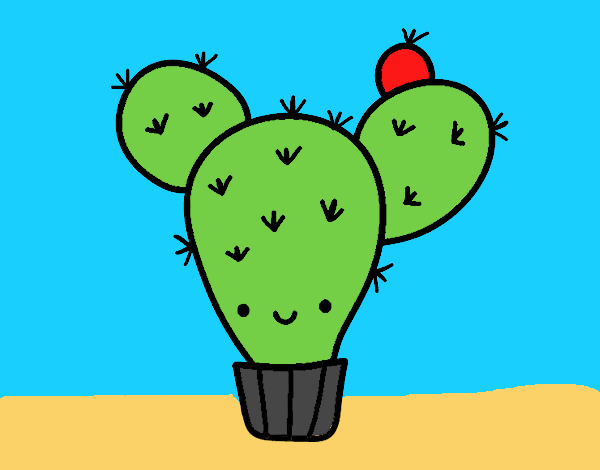 Cactus nopal