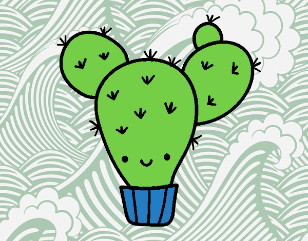 Cactus nopal