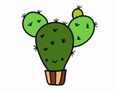 Cactus nopal