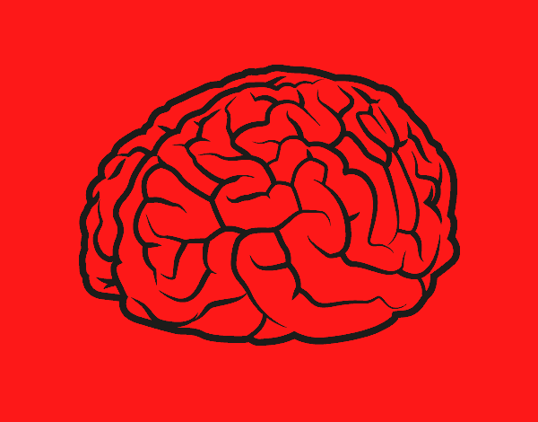 CEREBRO ROJO