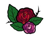 Dos rosas