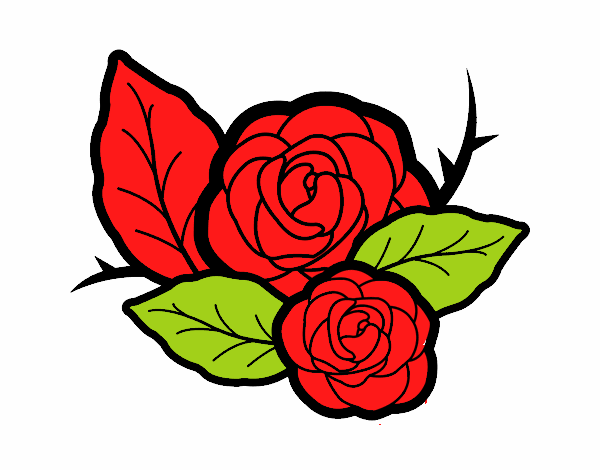 Dos rosas