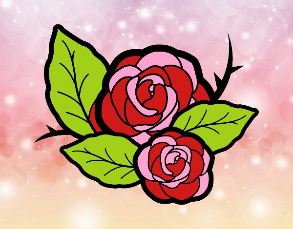 Dos rosas