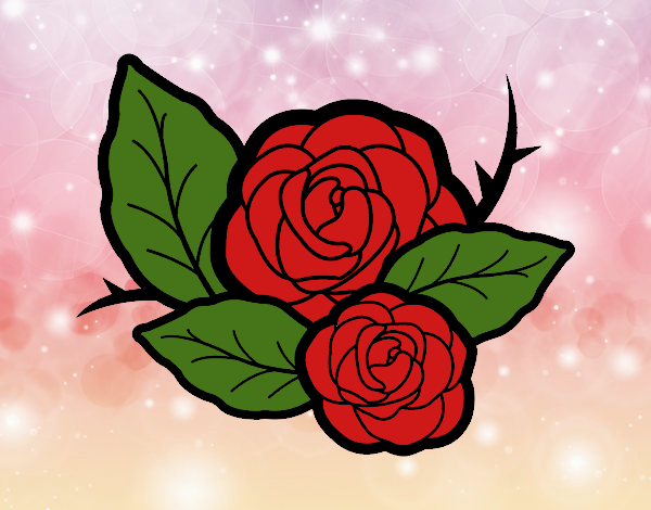 Dos rosas