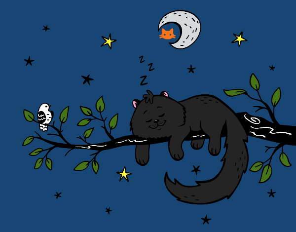 El gato y la luna