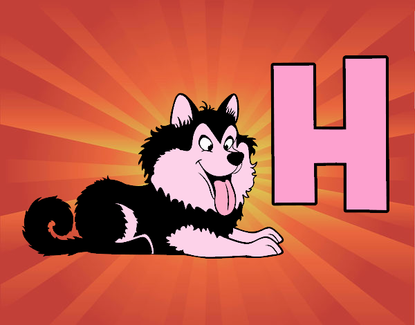 H de Husky