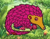 Pangolin