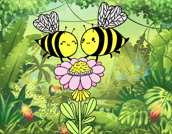 Pareja de abejas